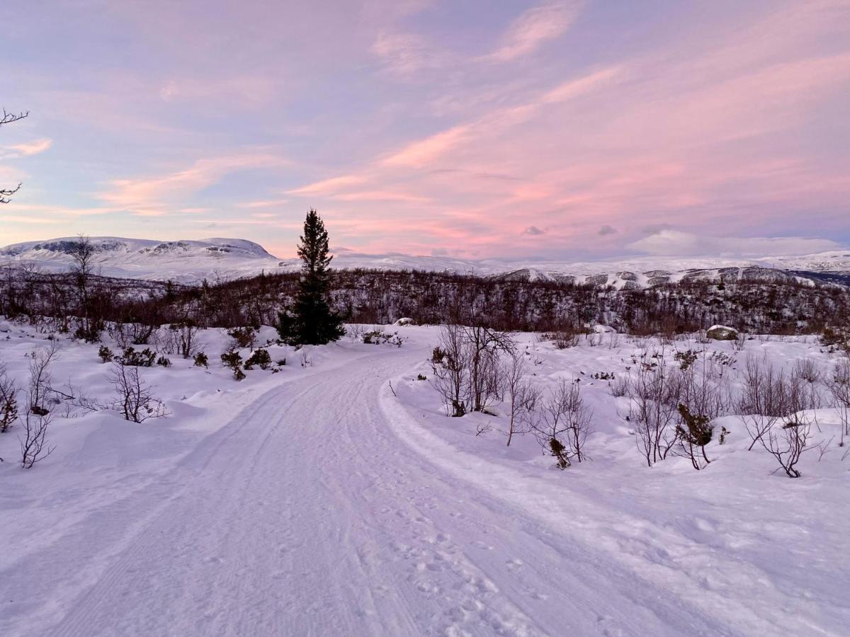 Lodge Hakkesetstolen
