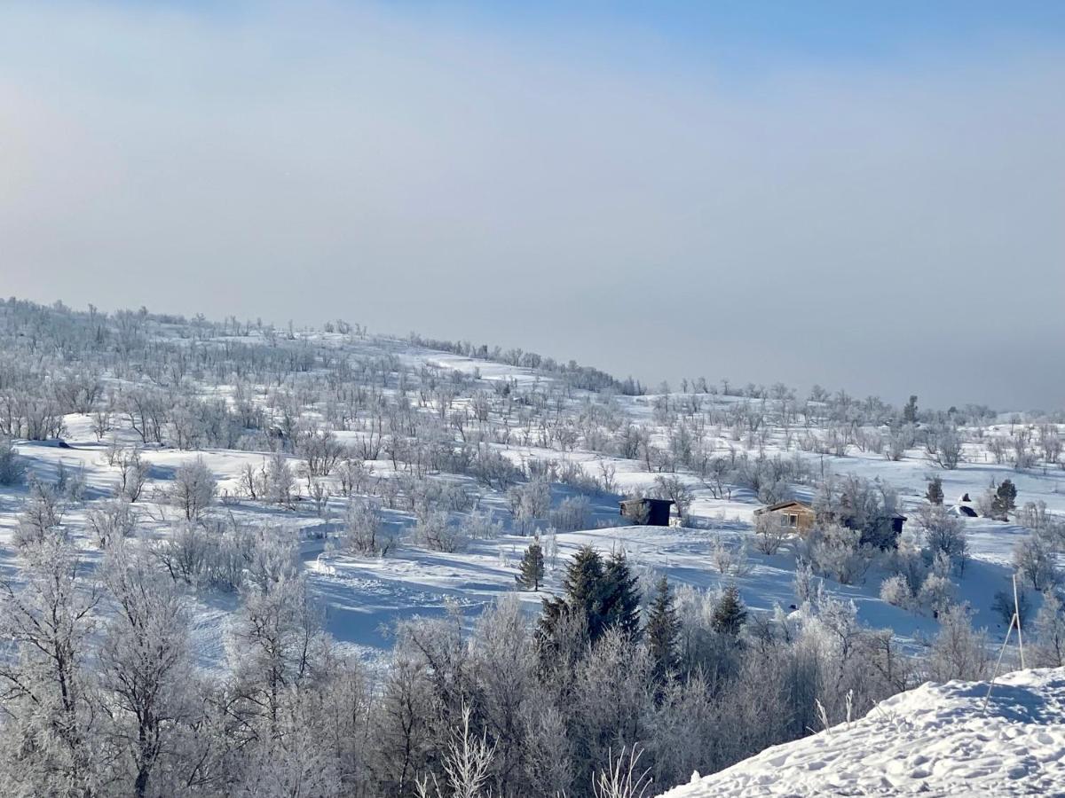 Lodge Hakkesetstolen Geilo